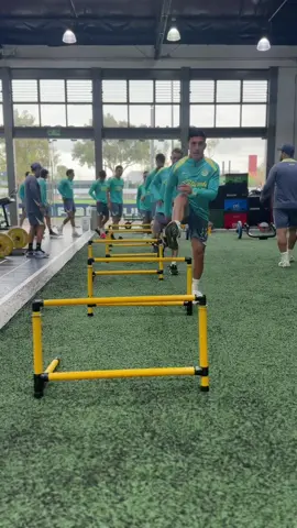 A post by @clubamerica on TikTok caption: Hey, wassup! 🤙🏼 #ClubAmérica #TikTokDeportes  