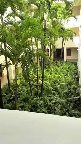A post by @thebadmf_ on TikTok caption: Allure Junior Suite Tropical View King✨ Here are some tips if you plan on traveling here soon:  1) VIP wasn’t essential for us & our needs especially at this specific resort unless you absolutely plan on utilizing the spa. You get this cute custom tote bag upon arrival when you’re VIP. (Other than that we did not see too much of a difference)  2) The food here is mid I’d give it a good 7/10 but that’s anywhere with all inclusive so my expectations weren’t too high to begin with. Dreams Onyx next door has better food options. The Habachi restaurant “SPICE” is really good! 3) Don’t think you’re coming here to turn up like RIU resorts. They turn up but in a modest, upscale fashion this is a boujie resort fasure !  HAVE FUN, HOPE THIS HELPS 💕🏝️  #breathlessresortpuntacana #breathlessresorts #allinclusiveresort #allinclusive #traveltok #traveltiktok #fyp #fypシ゚viral #fyppppppppppppppppppppppp #travel #traveltips #puntacana #puntacanavacation #puntacanaresort #vacation #vacation #riu 