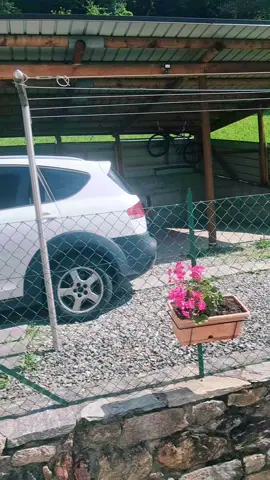 A post by @zendyross on TikTok caption: #naturaledealmapura🌲🌳🌏🌵🌴🌊💧 #vivesintiempo💚❤️🥰🤩 