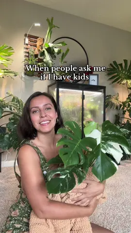 A post by @plantswithkrystal on TikTok caption: I’m a MOTHA to all 300+ green babies #plantparent 