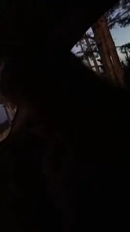A post by @nastia20430 on TikTok