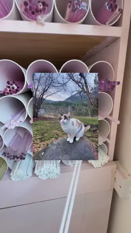A post by @picnicblanketjewellery on TikTok caption: The magic of our custom cat charms never disappoints!💫🪄🐈 Let us know what you think in the comments below❤️‍🔥 #lampwork #custompet #petportaits #picnicblanketjewellery