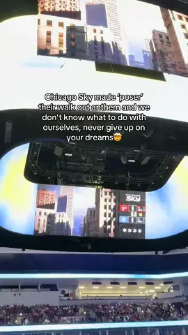 A post by @partyof2 on TikTok caption: unreal #fypシ #chicagosky #wnba 