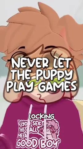 A post by @justafluffymax on TikTok caption: Would you play with him?? 😇 #furry #cute #goodboy 