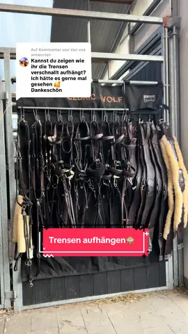 A post by @bellaxhorses on TikTok caption: Antwort auf @Van esa wer macht es genauso ?😆 #bellaxhorses #showjumpinghorse #horseslover ##pferdeliebe##equestrianlove##pferdemädchen##equestriangirl##horsegirl##equestrianlife##goviral##horsesoftiktoktok##equestrianlife##stablevlog