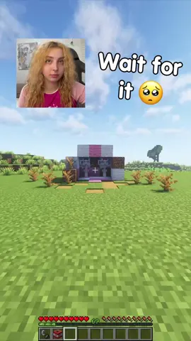 A post by @lucky.maker on TikTok caption: House for Balerinas ☕🥺☕#minecraft