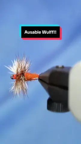 A post by @tiesflies on TikTok caption: The ausable wulff was originally created by Fran Betters, but this one uses the ausable blend from Thomas Fly and Tackle! Hook: Ahrex FW501 size 14  Thread: TheFlySmith 14/0 traditional waxed  Tail: Natures spirit moose hock  Wing: Natures spirit calf Tail  Hackle: Magpie materials riseform  Body: Thomas Fly and Tackle ausable blend dubbing  Tools: TheFlySmith  Resin: uv craft   #TheFlySmith  #flytying #magpiematerials #magpieturkeybiots #magpiefinebeaverdubbing #whitingfarms #naturesspiritflytying #lidrig #fly #flytyingjunkie #flytyingtutorial #flytyingaddict #flytok #satisfying #flytyingnation #fyp #harelinedubbin  #fishing #flyfishing #pescamosca #Upavon #fullingmill #bespoke