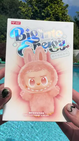 A post by @nathan_fox_was_here on TikTok caption: Will I find the secret? #labubu #secret #unboxing 