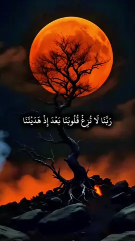 A post by @user0rxmudyn5ss on TikTok caption: #محمدالفقيه_ترند_شارك_تعليق_لايك_