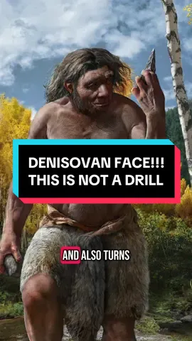 A post by @oddpride on TikTok caption: DENISOVAN FACE JUST DROPPED #mindblown #paleontology #paleoanthropology #denisovans #science #evolution #humanevolution #iceage 