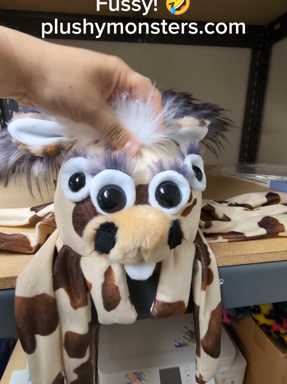 A post by @plushymonsters on TikTok caption: FUSSY!!! 🥰🥰🥰 This chonky weirdo will be available on our June 26th, 2025 Hatching Day at 5:00 p.m. MDT at plushymonsters.com! 😁 Fussy actually has more work in her than one of our Cow Spiders in Disguise (the Holstein version), but because we aren't 100% happy with the base material we will be asking $250.00 plus shipping for this special, special little individual. 😬 I have a feeling she is just what someone out there has been looking for. 😬 You know, a cow-patterned plushy spider with purple wings, a muzzle (including snaggle tooth 😆), eyelashes to match her wings, a super spiffy dog tail, and floofy white hair  to top it off! 😆🤣 And yet, I'm really not kidding! Fussy is wonderful and, yes, incredibly weird, but mostly wonderful! 🥰 Oh! I forgot to mention her super soft cheetah print ears! Can't forget those! 😁 Yay, Fussy! 😁 #plushymonsters #katesweirdies #hatchingday 