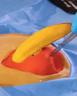 A post by @paula6693 on TikTok caption: #5minutecrafts #5minutecraftsbelike #wtf5minutecrafts #fiveminutecrafts #fiveminutecraftsbelike 