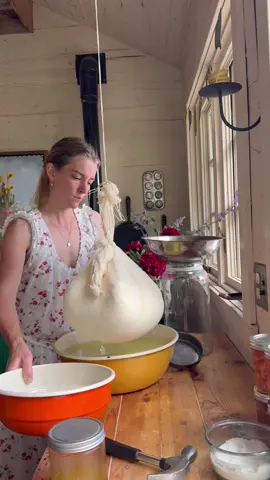 A post by @ballerinafarm on TikTok caption: Multi-tasking this AM.  Spinach soup and sourdough bread for lunch, whilst starting my sheep’s milk feta.  The feta will drain overnight. 