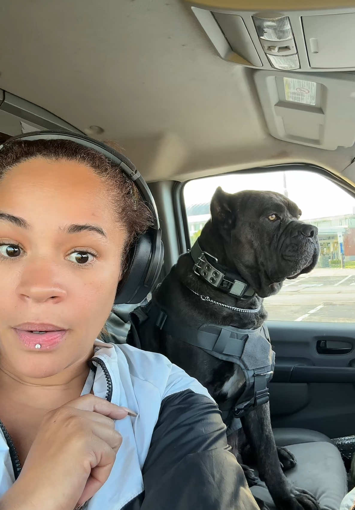 A post by @thereallifesnowwhite on TikTok caption: What is wrong with people!!!