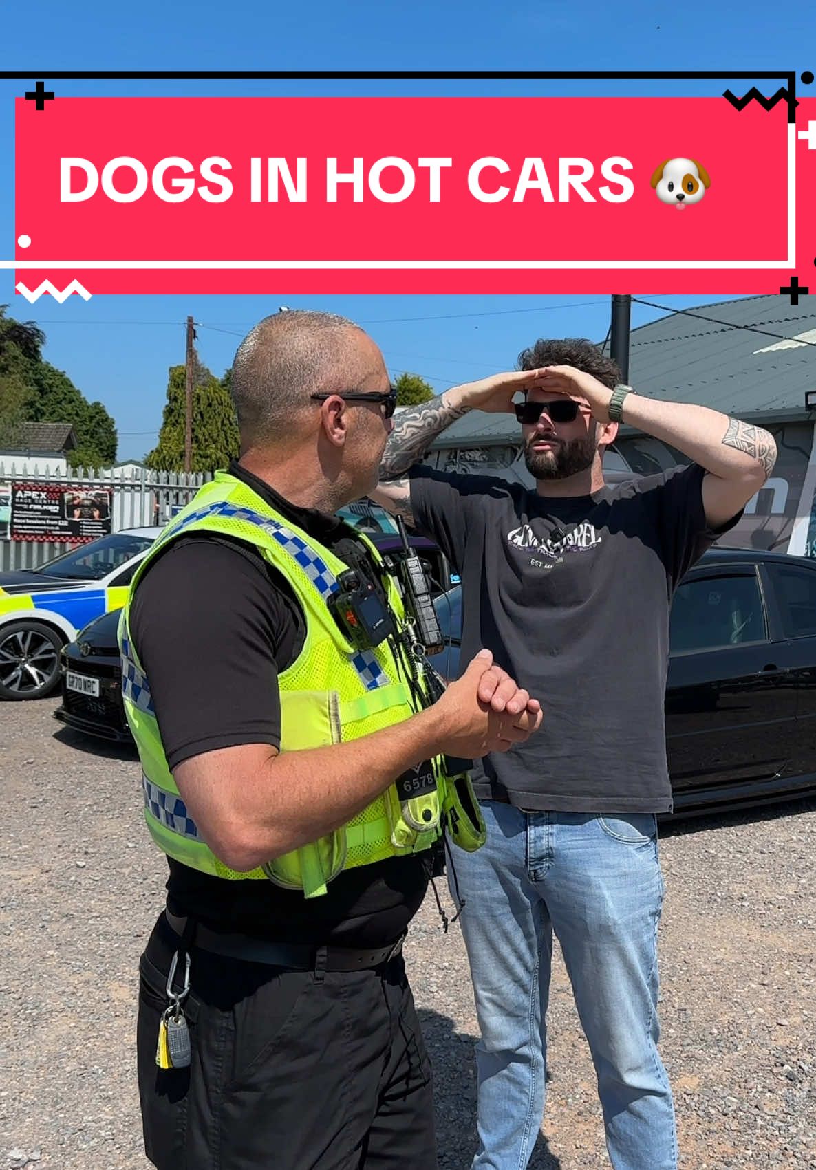 A post by @georgescarmedia on TikTok caption: Hot dogs are a no! 🐶 If you leave your dog in a hot car then your horrible! 😡 #police #roadsafety #modifiedcars #heatstroke #gcm #dogs #dogsinhotcars #hotdogs 