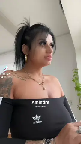 A post by @allyinna1 on TikTok caption: #amintire 