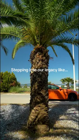 A post by @bmw on TikTok caption: This tree holds some serious magic. 🤫 #BMWlove #BMWM3 #carsoftiktok #fyp 