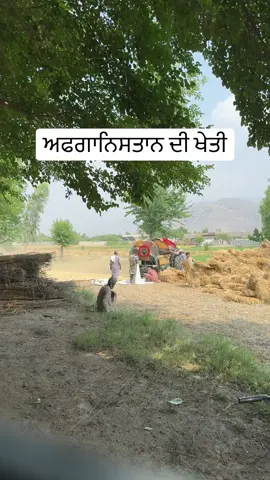 A post by @punjabitravelcouplevlog on TikTok caption: #punjabitravelcouple #vlog #international #viral #fyp #trendingvideo #daily #punjabi #travel #afghanistan #farmlife #learnontiktok 