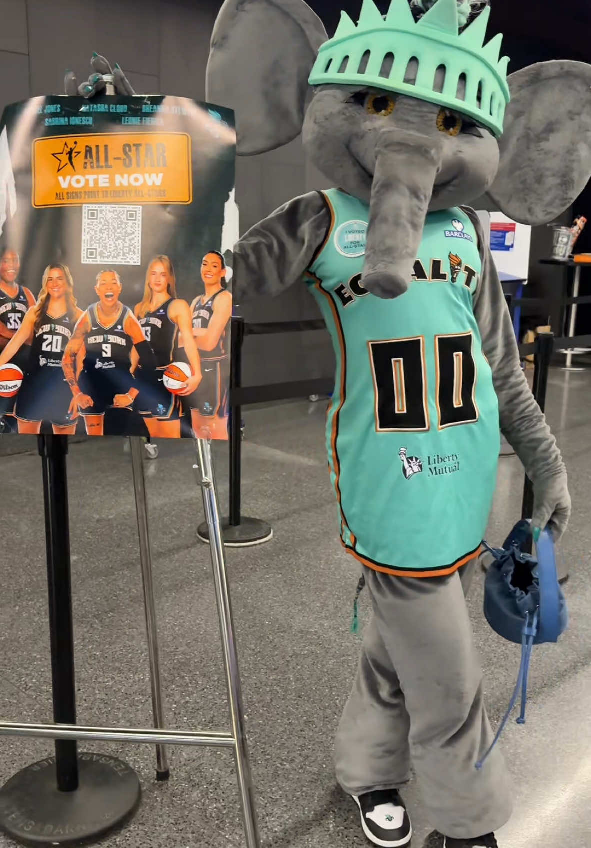 A post by @bigellieliberty on TikTok caption: I VOTED ‼️now it’s your turn  I want all my girls at ALLSTARS and I need your help IMMEDIATELY ‼️ click the link in the bio! @nyliberty #wnba #wnbaallstar 