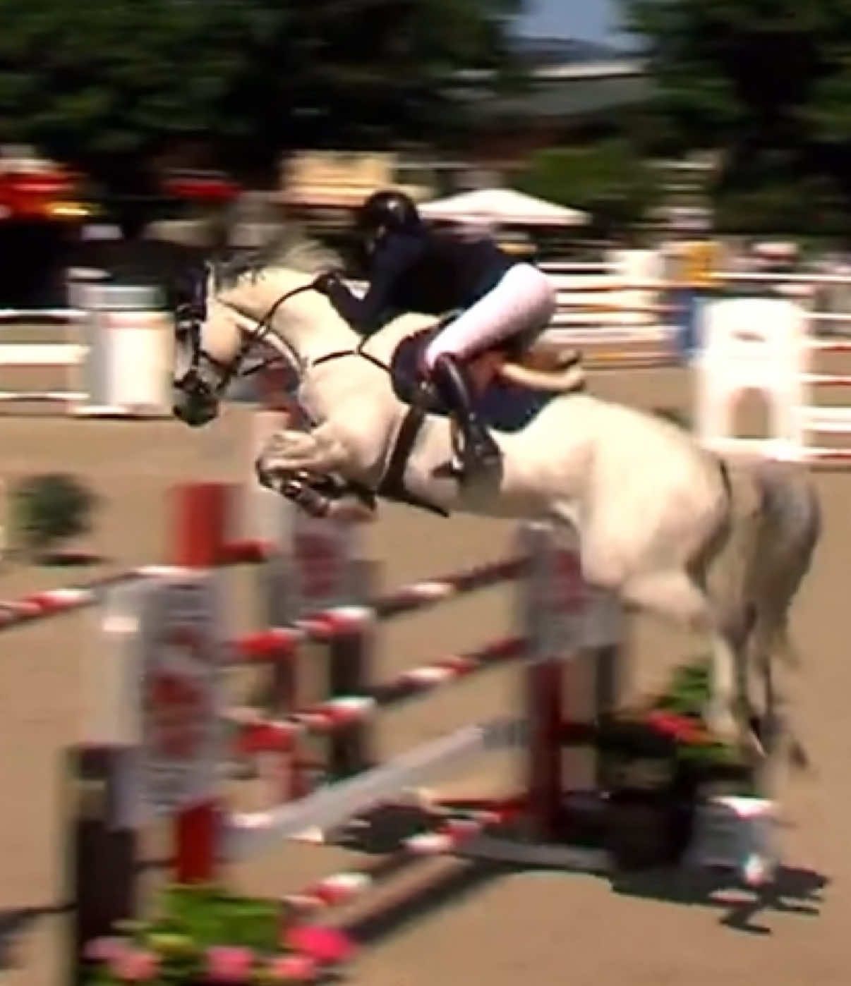 A post by @leonie.pander.official on TikTok caption: So happy with Konstantino!🤩Clear and placed in our second 1m40 together❤️🙏🏻And clear in the 1m30🫶🏻#fy #fyp love him so much🥰
