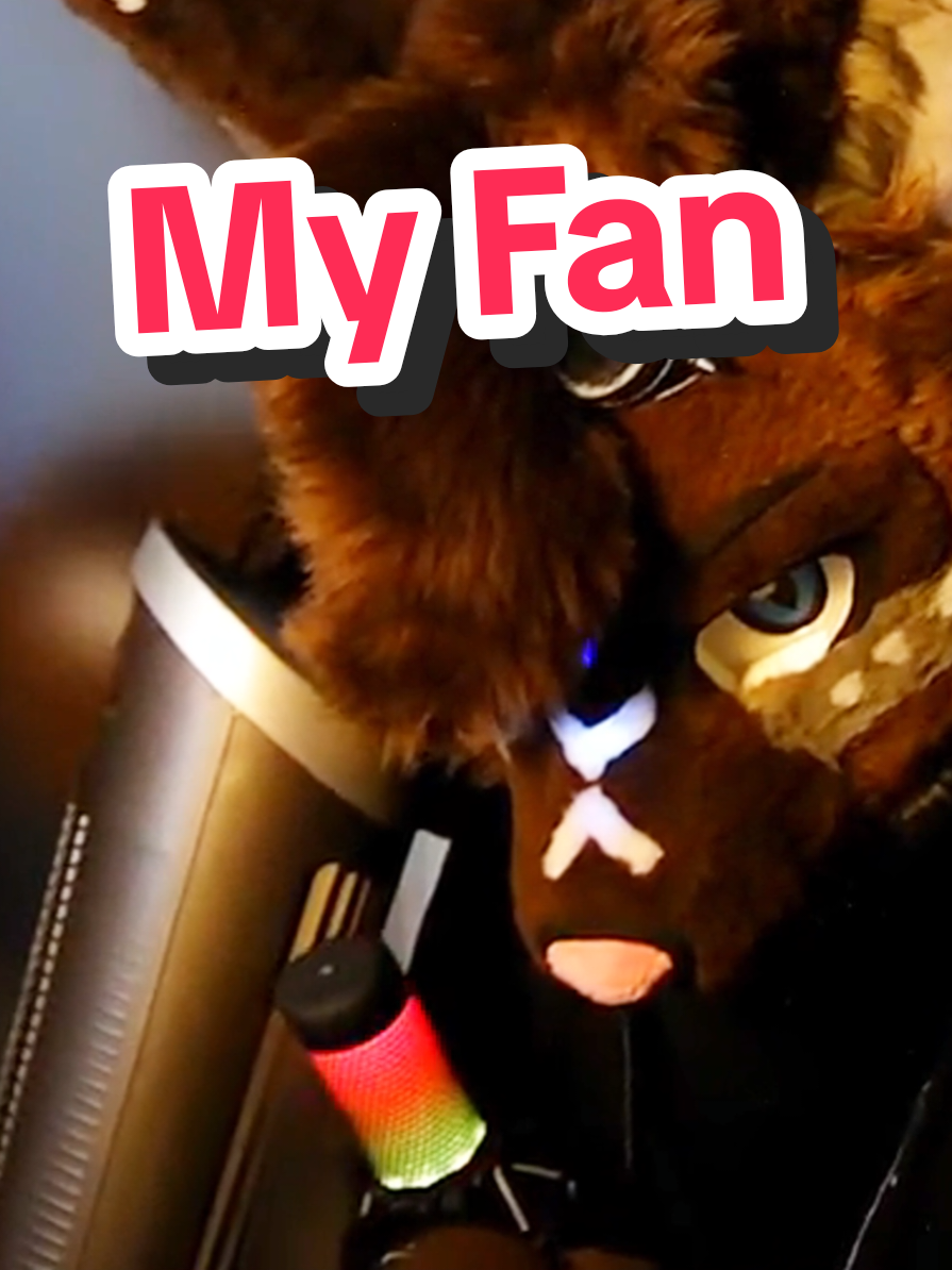 A post by @hyroe on TikTok caption: This is my fan how should I name it ?