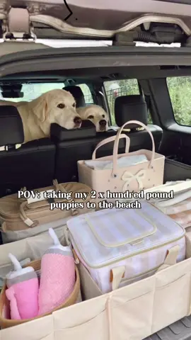 A post by @julianna_claire on TikTok caption: Birdie & Mabel expect passenger princess 👑 treatment for all car rides & their FAVORITE treats are from @Open Farm Pet 🤍. First time customers can get 30% off their first auto-ship order with code WELCOME30 now through June 23rd! #openfarmpartner #roadtrip #summer2025 #summertime #caraccessories #carorganization #greatpyrenees #greatpyreneespuppy #packwithme #organize #organization #organized #organizewithme  