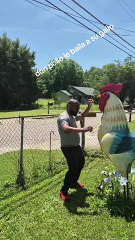 A post by @2021donpollo on TikTok
