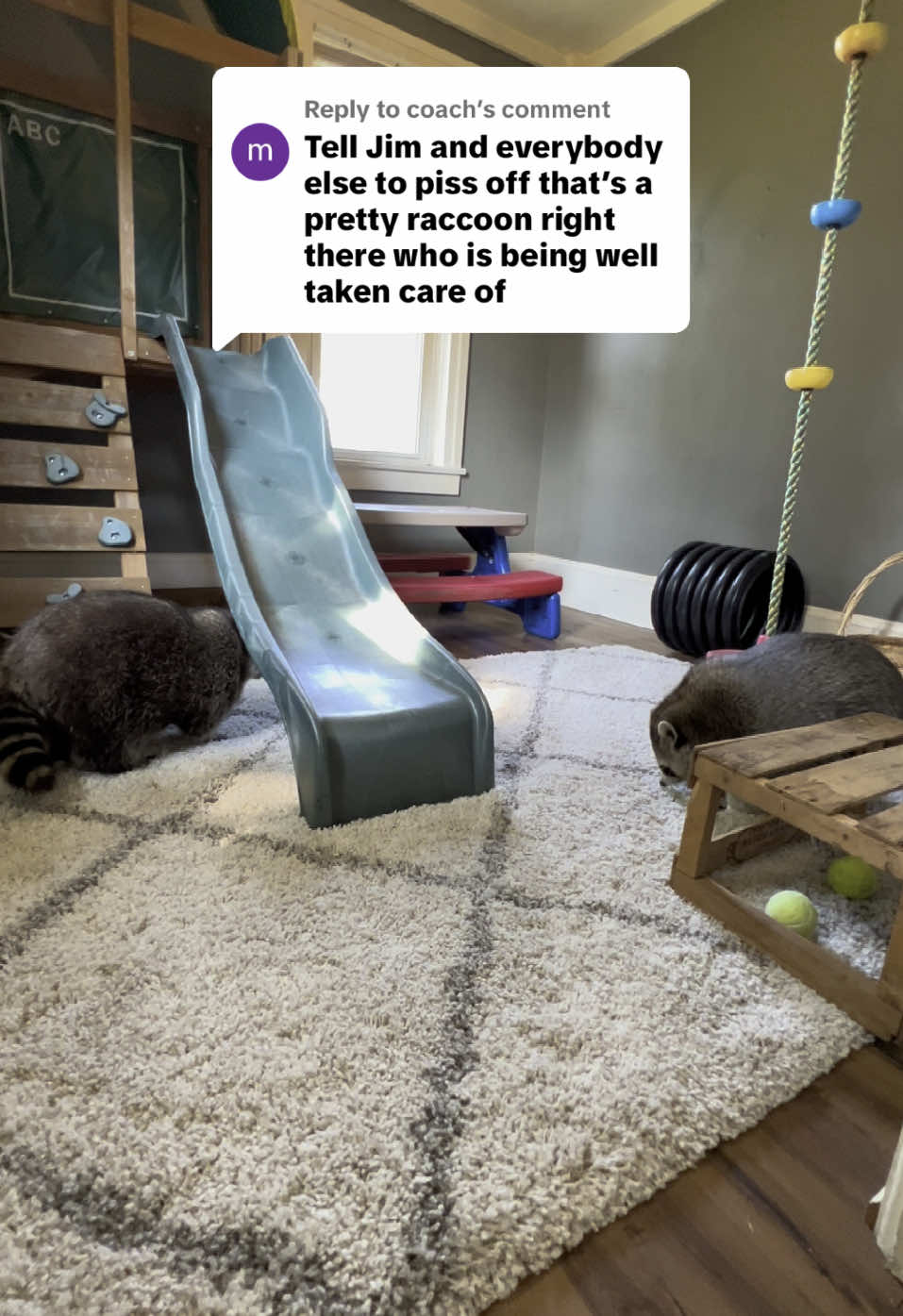 A post by @hereforthelaughter on TikTok caption: Replying to @coach 