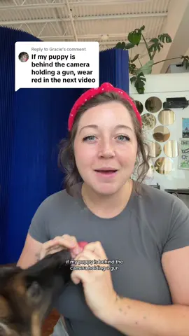 A post by @taylorcezanne on TikTok caption: Replying to @Gracie I’ve got it all under control! I think? 😭 #dogs #funny #puppytraining #easydogtraining 