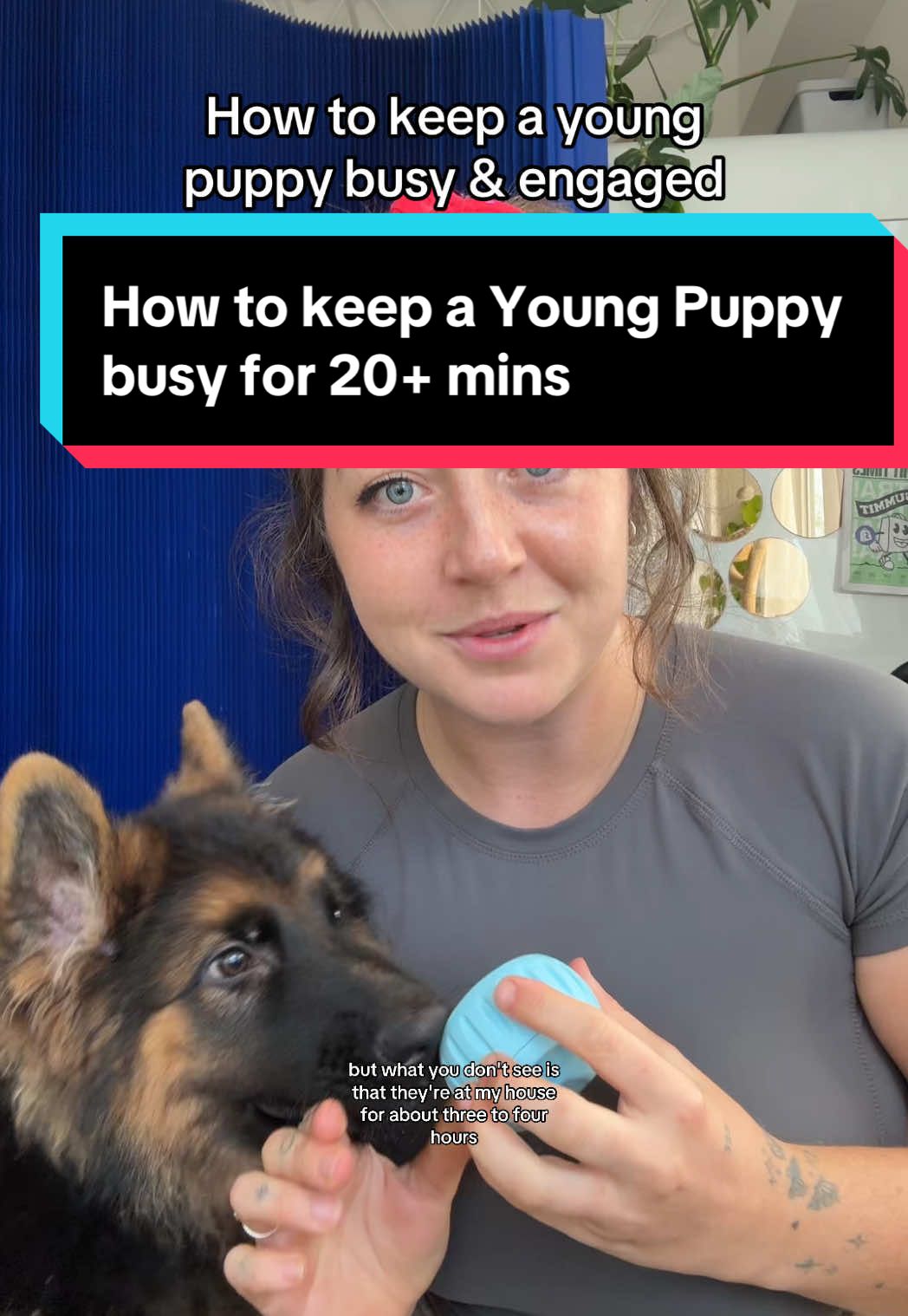 A post by @taylorcezanne on TikTok caption: Licking is a calming behavior for dogs - you should use that knowledge to train them! The @Woof Pet pupsicle is perfect for all things training or calming down a dog ❤️🐶 try it & lmk how it goes! #dogtoys #newpuppy #puppytraining101 #diydogtreats 
