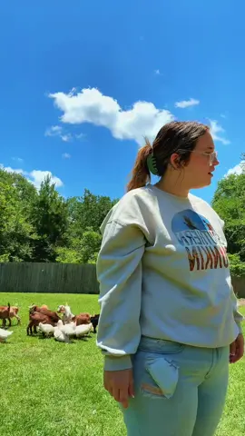 A post by @pimpinp1 on TikTok caption: Day on the farm 💕. Stay tuned!!  #foryoupage #farm 