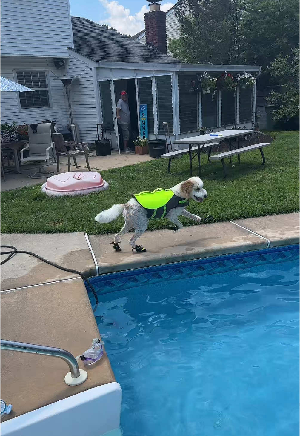 A post by @kingzippy on TikTok caption: Zoros going swimming!!! 