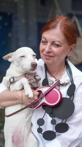 A post by @doggodaiily on TikTok caption: Anita 🤍🥰 , #caniditorino #adozione