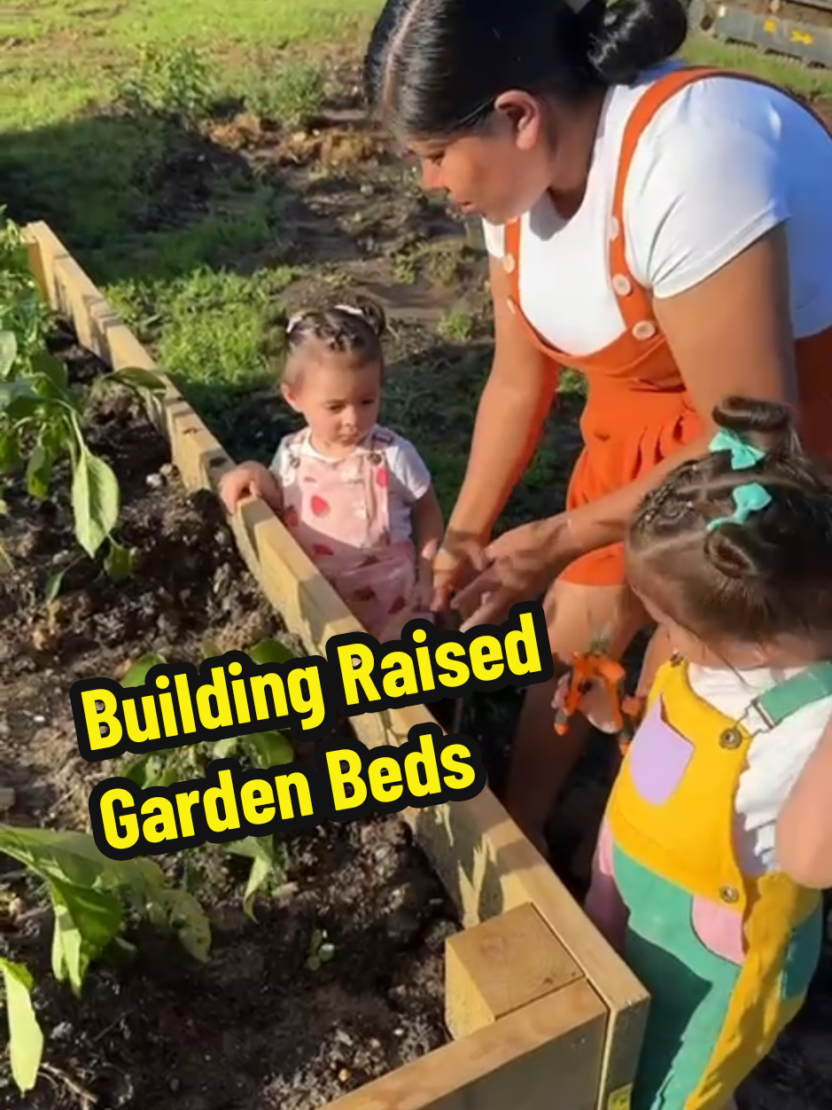 A post by @chrizh93 on TikTok caption: Building Raised Garden Beds @Sarita&ChrisHudson #raisedgardenbed #garden #gardening #gardenbed #bbygabby😇 #bbyemma😇 #hudsonfamily👨‍👩‍👧‍👧  #saritaychris👩🏻‍🤝‍👨🏼 #hudsonfamily👨🏻‍🦰👩🏻👶🏻 #lapatroncita😇 #sarahudson51 #Mushashon👨🏻‍🦰 #viral #parati #fyp #viralvideo #foryou #foryoupage #foru 