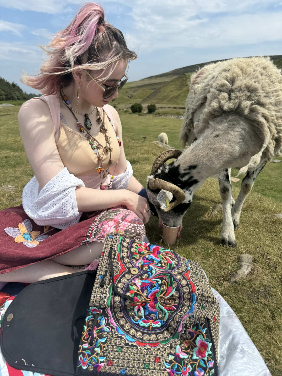 A post by @thistrippyhippie on TikTok caption: todays picnic was a little different🤣and mums lunch a bit smaller than usual🤭🍅🥒 #fyp #sheep #foryou #uk #brit 