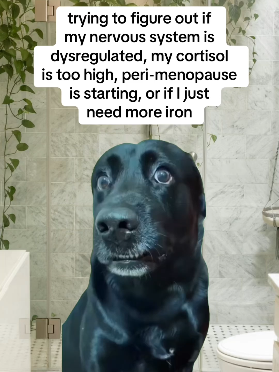 A post by @theworkoutwitch on TikTok caption: ughhh, there’s way too much overlap 🥹 heal your nervous system in 60 days 🔗 on profile ✨ #nervoussystem #nervoussystemregulation #nervoussystemhealing #fightflightfreeze #somatichealing #somaticexercise