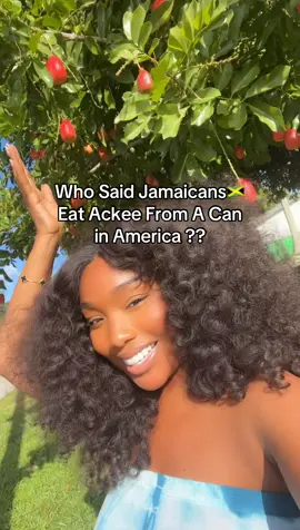 A post by @starrdawkinzz on TikTok caption: I saw a few people say ackee don’t grow in America and now I’m wondering if Fort Lauderdale is a parish in jamaica that got left out @Chineykpopgirl step to the front 
