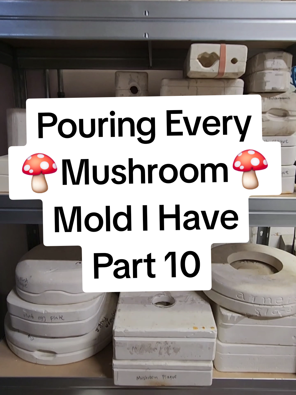 A post by @thedepressedceramicist on TikTok caption: Pouring my mushroom molds Part 10! www.artroomusa.com #theartroomsedaliamo #mysterymolds #mysterymold #ceramics #ceramicstudio #slipcast #ceramicshop #smallbusiness #sedaliamo #slipcasting #mushrooms 