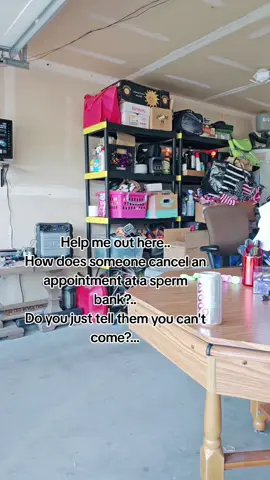 A post by @jrsayers on TikTok caption: #gotmyownhashtags #laugh #question 