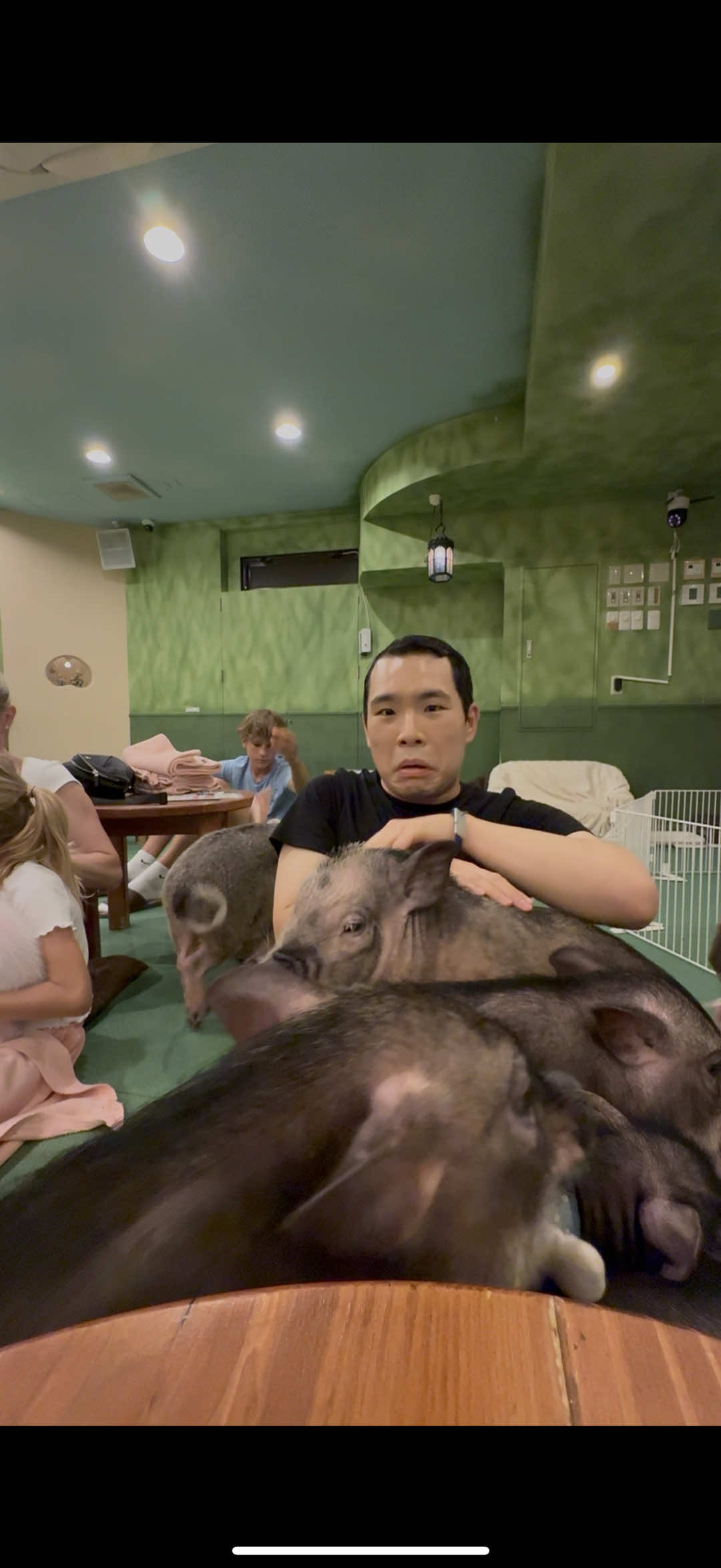 A post by @asianchowdown on TikTok caption: ANIMAL CAFES in JAPAN ( PIG CAFE & ART AQUARIUM MUSEUM ) #cafe #food #Foodie #snack #foodreview #fyp #dessert 