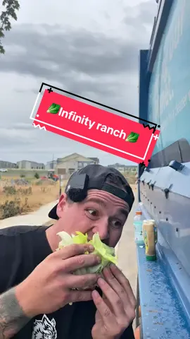 A post by @datrashmaaan on TikTok caption: Dill pickle squared buffalo garlic sweet barbecue cracked black pepper Cajun horseradish lemon pepper chimichurri ranch squared #trashsalad #boydinner #bluecollar #bringbackboydinner 