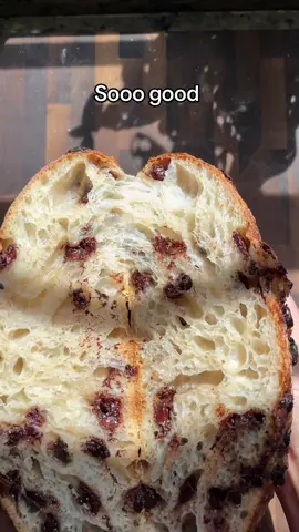 A post by @wheatculture on TikTok caption: This chocolate chip sourdough bread was my favorite loaf I’ve ever baked! So delicious #sourdoughtiktok #sourdoughstarter #sourdough #sourdoughtok #sourdoughasmr #sourdoughcrunch #sourdoughbread #sourdoughclub #chocolatechipsourdough 