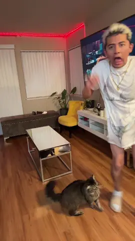 A post by @jonasymikeoficial on TikTok caption: Mi gato es el abusador #fyp #foryou #foryoupage #couple #love #cat #catsoftiktok #cats #catlover #viral  #funny #viralvideo #viraltiktok 