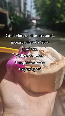 A post by @lenghenandreea on TikTok caption: Functioneaza intotdeauna 🌴🌞🇹🇭 #funnytiktok #fyp #foryoupage❤️❤️ #goviral #trends #viralvideos #viraltiktokk #travel #thailand #coconut #icecream #stressfree 