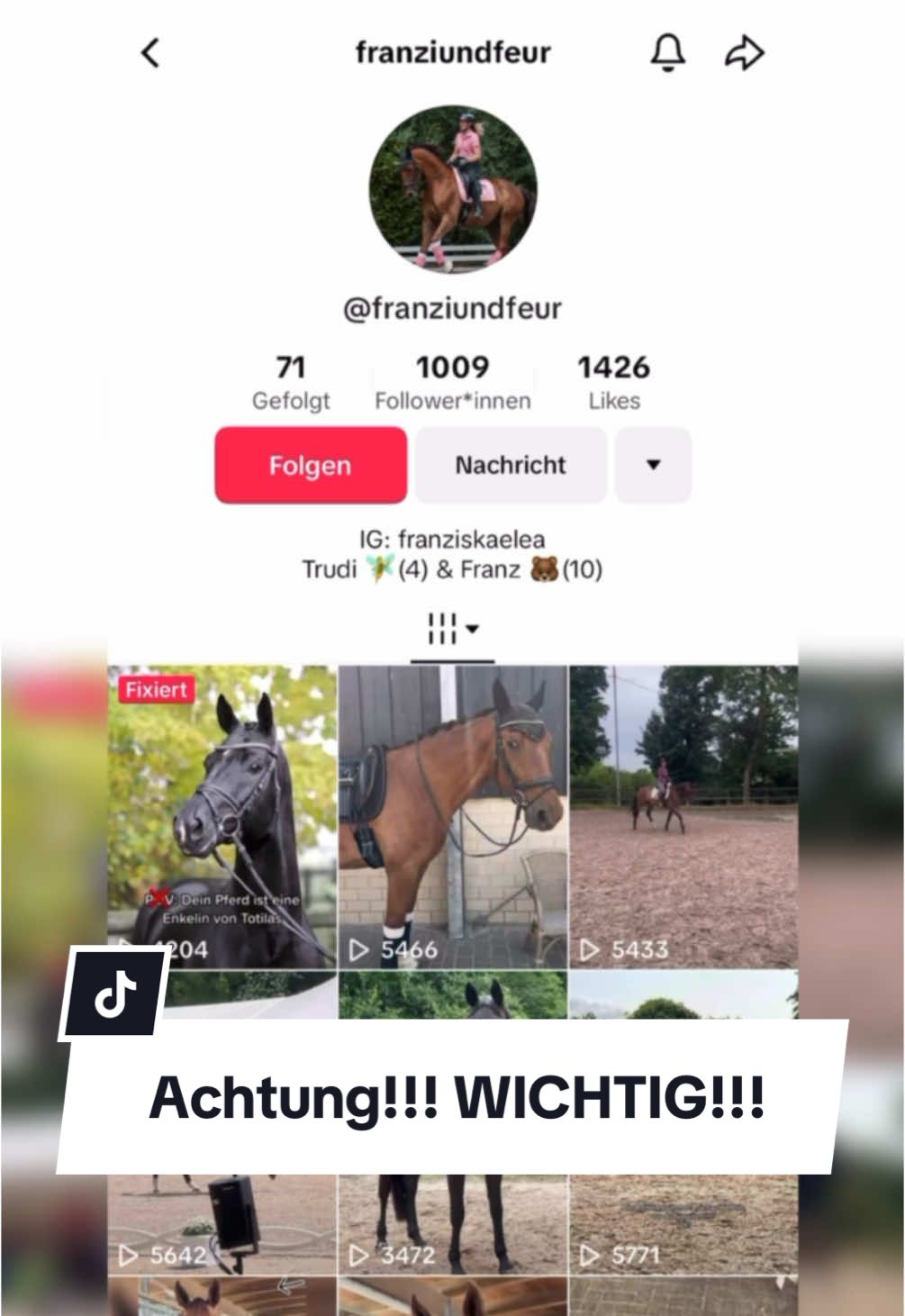 A post by @franziundfleur on TikTok caption: !!!! WICHTIG !!!! Seid vorsichtig 🥹🫶🏻 Bitte alle diesen Account melden 🙏🏻 IG: franziskaelea  #pferd #pferdemädchen #pferdeliebe #dressurpferd #reitsport #franziundfleur #franziskaelea 
