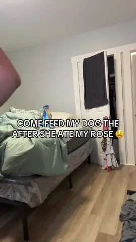 A post by @girlwithagutt on TikTok caption: 🫶🏽