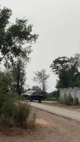 A post by @ on TikTok caption: Kashi virk barat ❤️#phoollu #phoolllusquad 