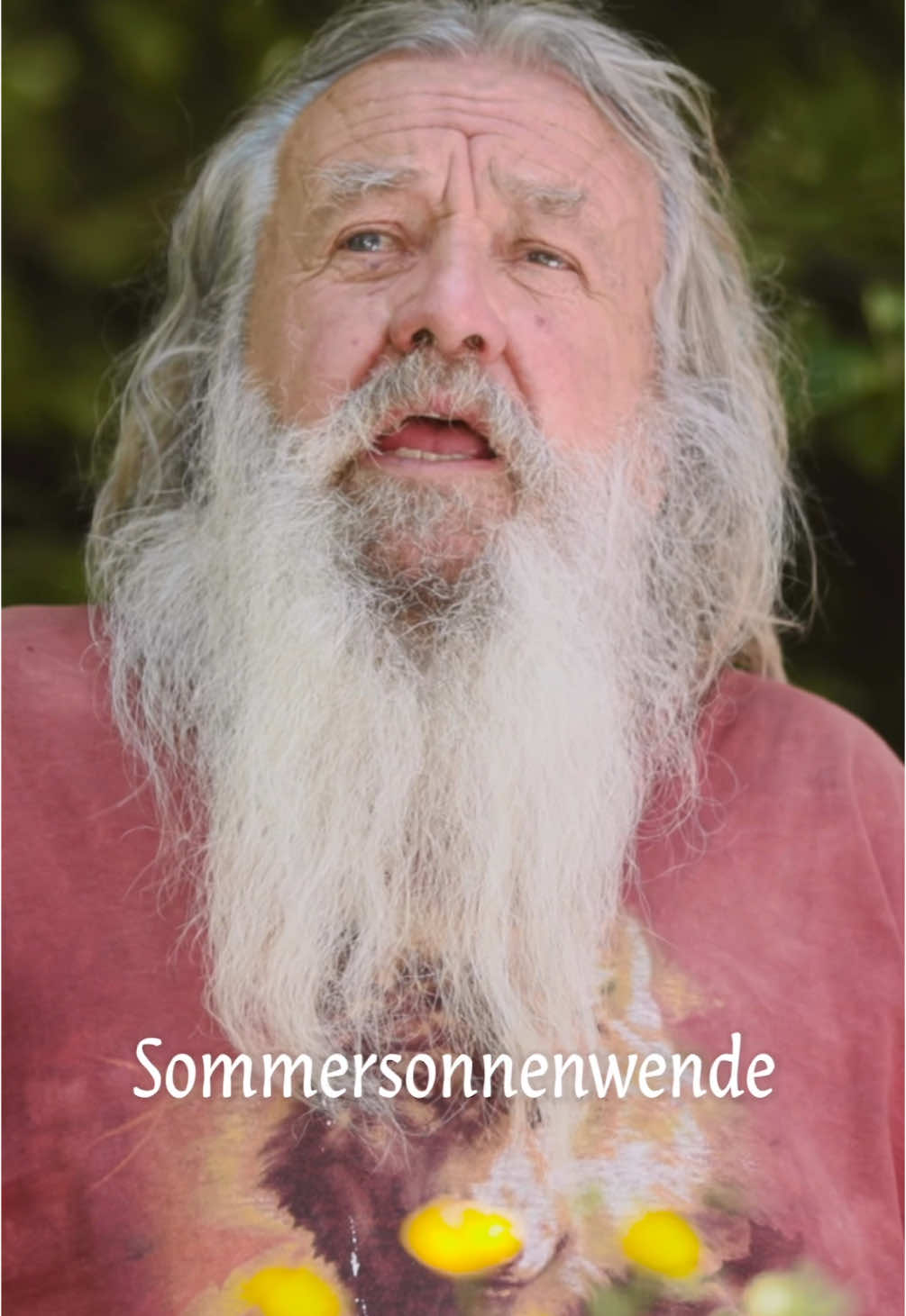 A post by @wolfdieterstorl on TikTok caption: Einst wurde die Sommersonnwende, ähnlich wie die Wintersonnwende, volle zwölf Tage lang gefeiert. Dabei spielte das Feuer eine wesentliche Rolle.  Es sind die Feste, die seit Jahrhunderten gefeiert wurden und die uns, wenn wir sie begehen, mit unseren Vorfahren in Verbindung bringen können.  Ich wünsche euch eine schöne Sommersonnenwende 🌞🐺 #sonne #sommersonnenwende #natur #brauchtum #viral #germany #sommer