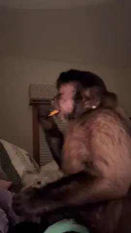 A post by @lifewithgaitlyn on TikTok caption: Bedtime chats with the teenager! #gaitlynrae 