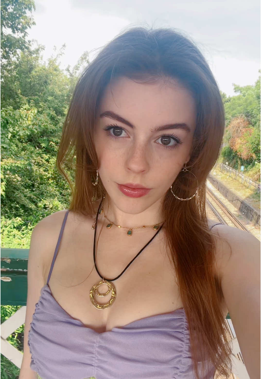 A post by @ameliagething on TikTok caption: Cookie supremacy 🍪 #shrek 